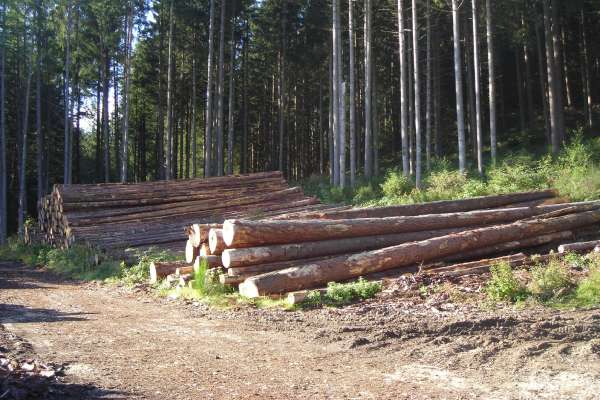 Gestion des inventaires des produits forestiers